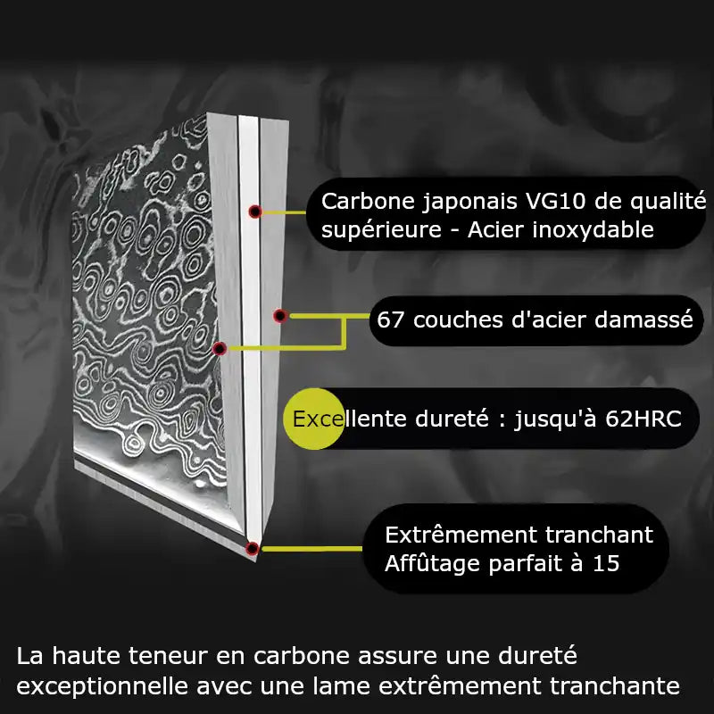 Coupe transversale graphique d'une lame Damas avec un noyau en acier inoxydable VG10 et 67 couches d'acier Damas – structure clairement visible.